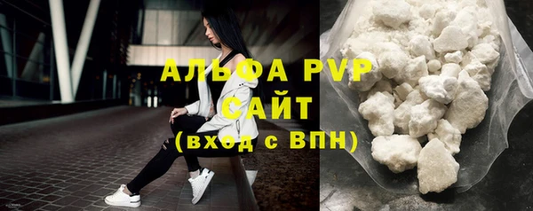 сатива Дмитровск