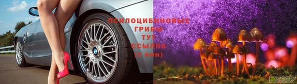 сатива Дмитровск