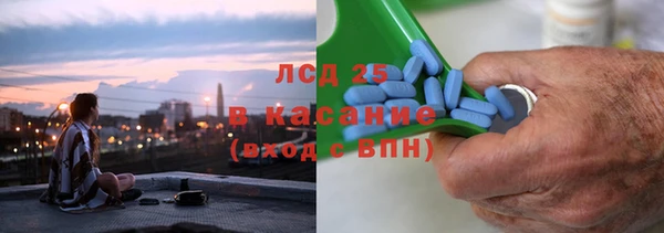 сатива Дмитровск