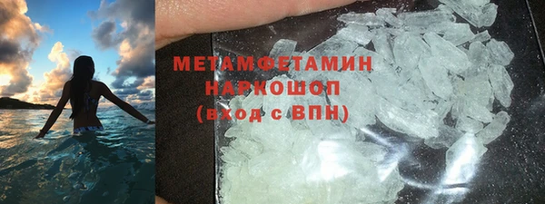 сатива Дмитровск