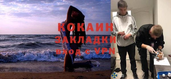 сатива Дмитровск
