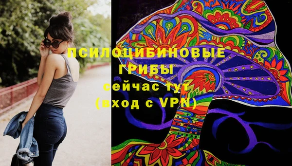 сатива Дмитровск