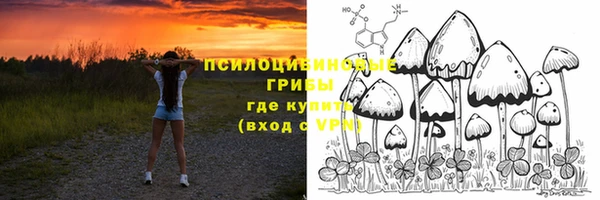 сатива Дмитровск